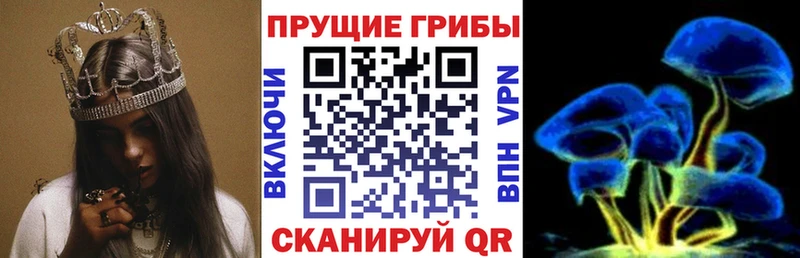купить наркоту  Карабулак  Псилоцибиновые грибы MAGIC MUSHROOMS 