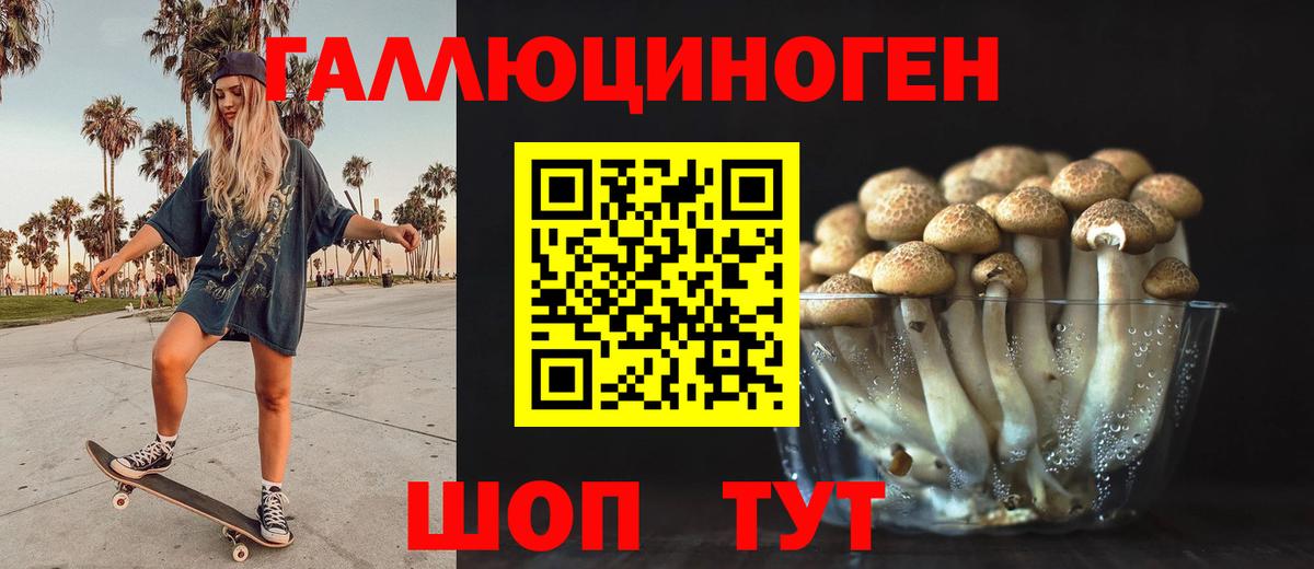 Псилоцибиновые грибы Magic Shrooms  Вход с VPN  Карабулак  цены наркотик  Псилоцибиновые грибы Psilocybine cubensis 